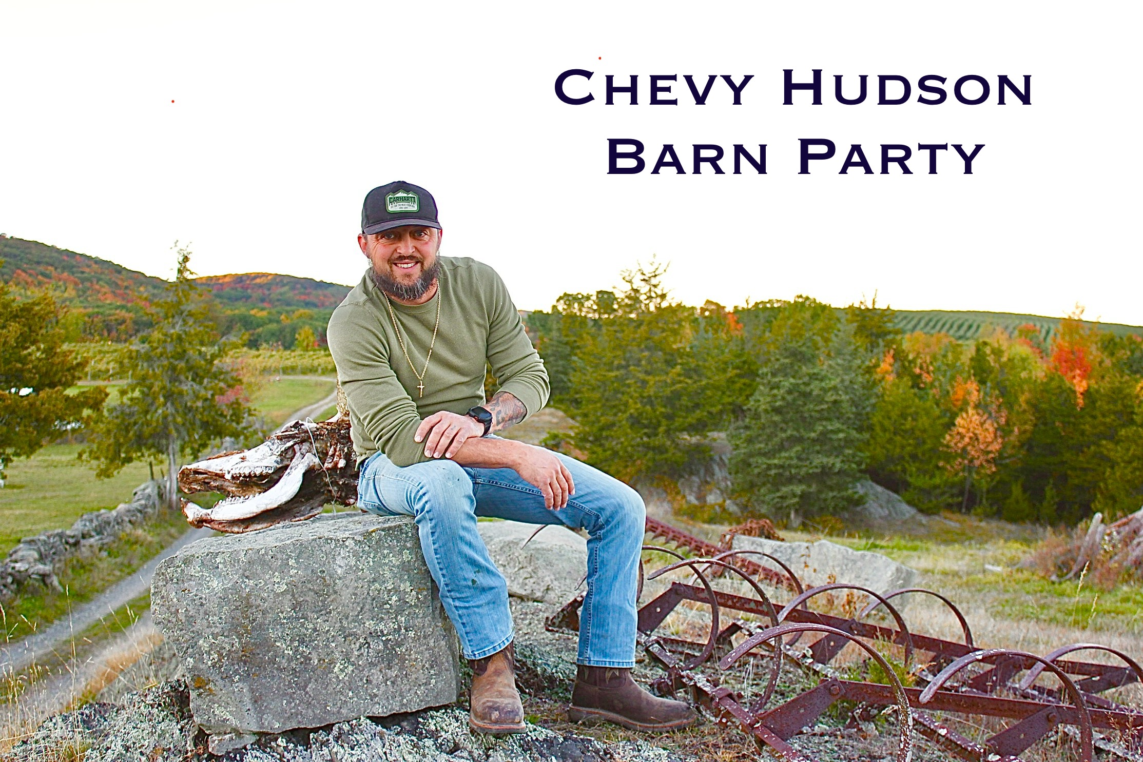 Barn Party cover